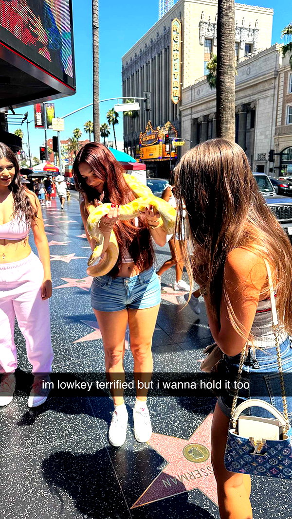 sophieraiin snapchat image archive image