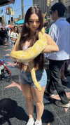 sophieraiin Altpins Profile Picture