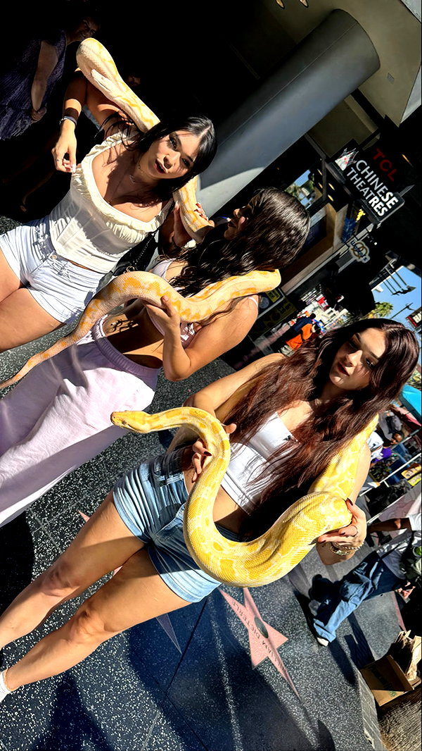 sophieraiin snapchat image archive image
