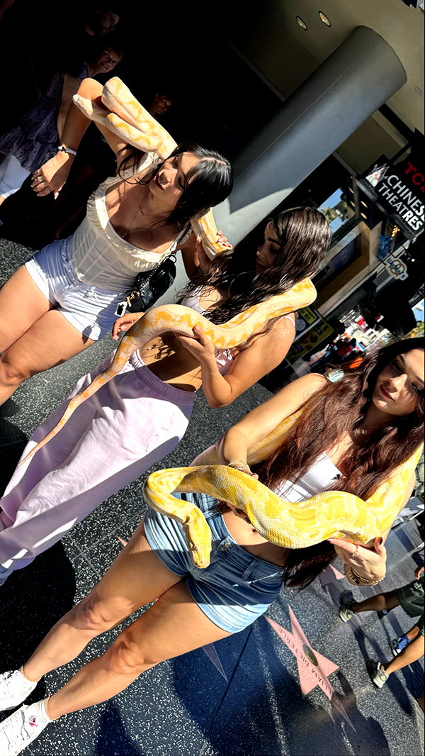 sophieraiin snapchat image archive image