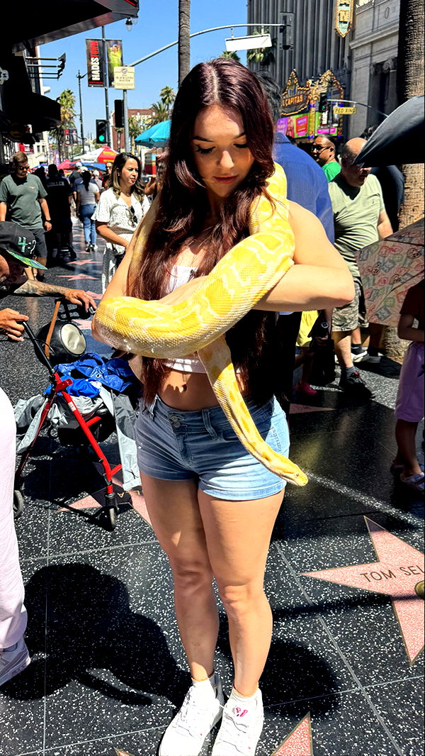 sophieraiin snapchat image archive image