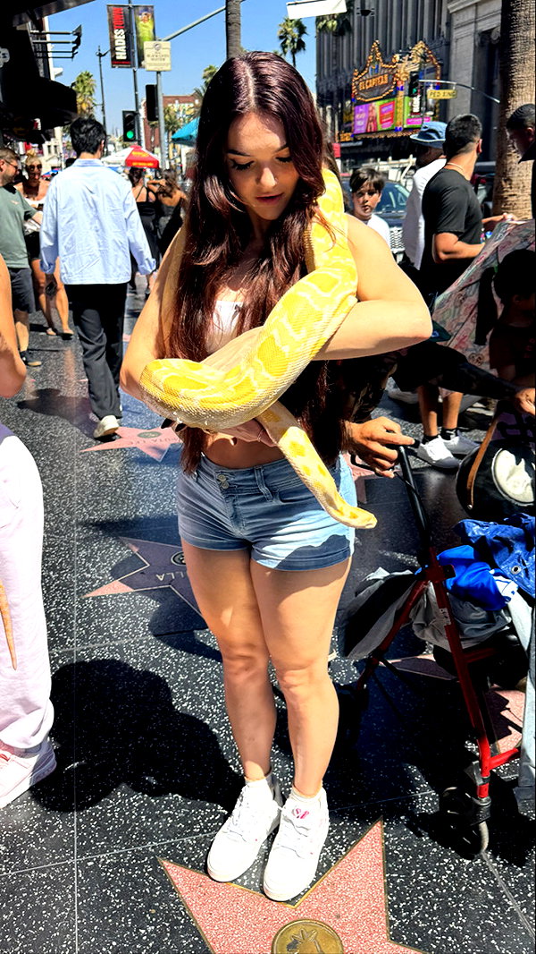 sophieraiin snapchat image archive image