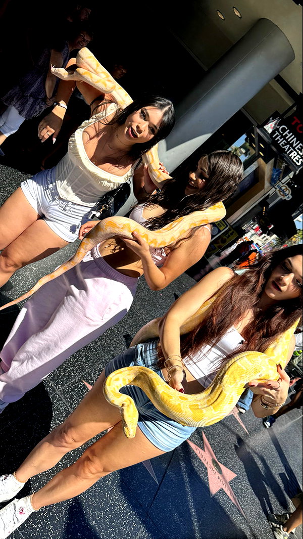 sophieraiin snapchat image archive image