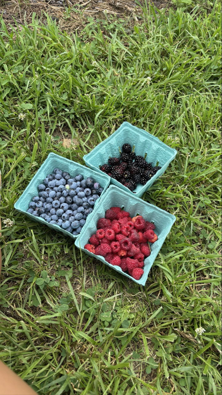 sophieraiin snapchat image archive image