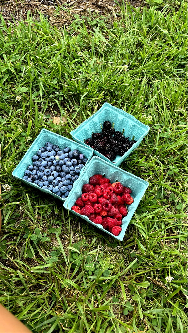 sophieraiin image ~ Altpins