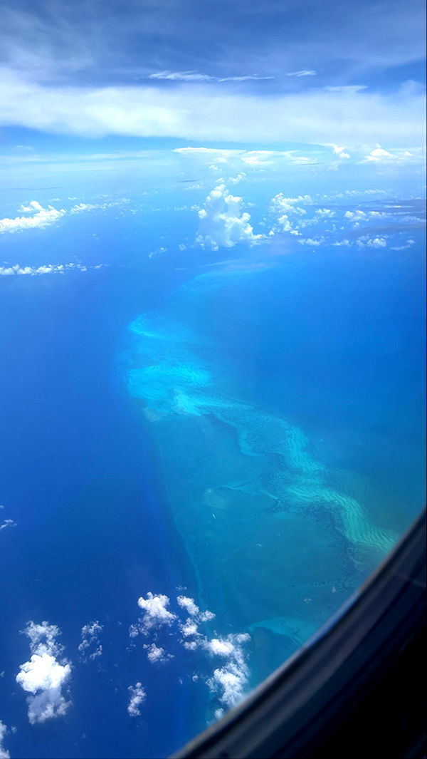 sophieraiin image ~ Altpins