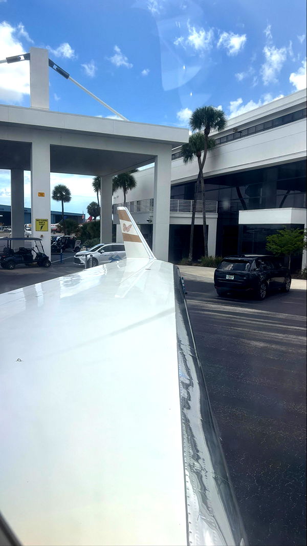 sophieraiin image ~ Altpins