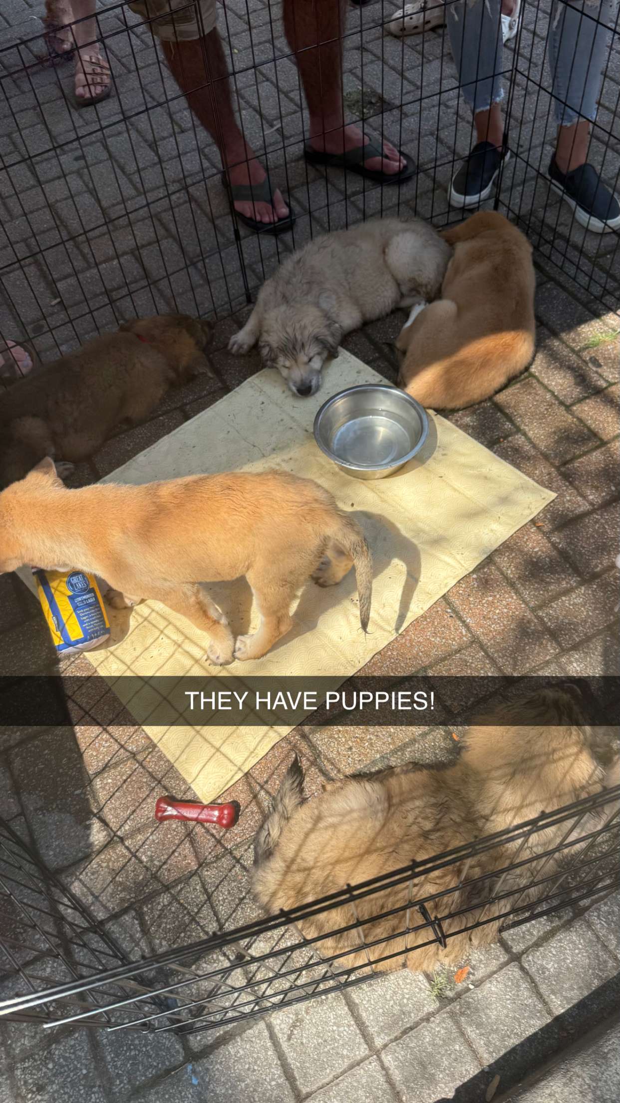 sophieraiin snapchat image archive image