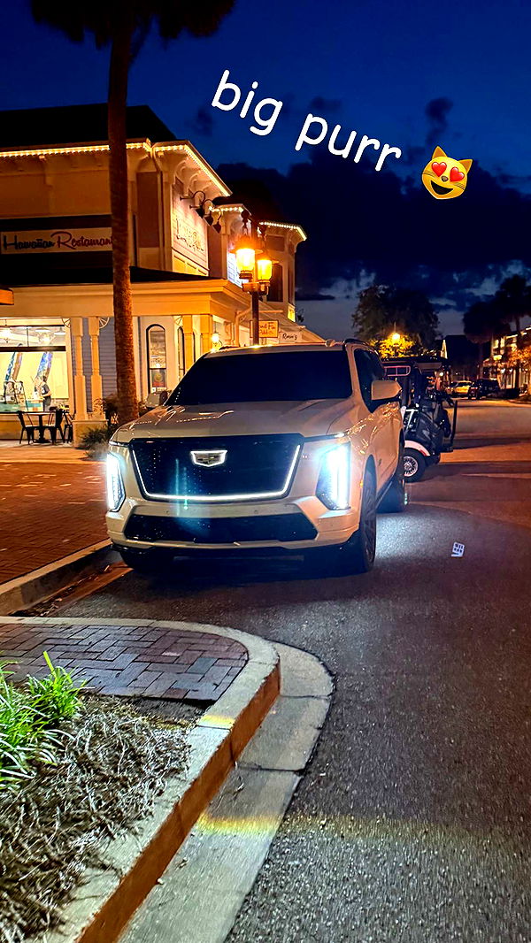 sophieraiin image ~ Altpins