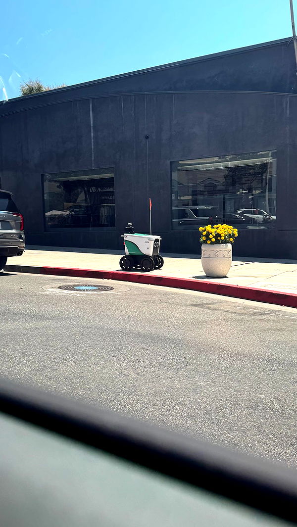 sophieraiin image ~ Altpins