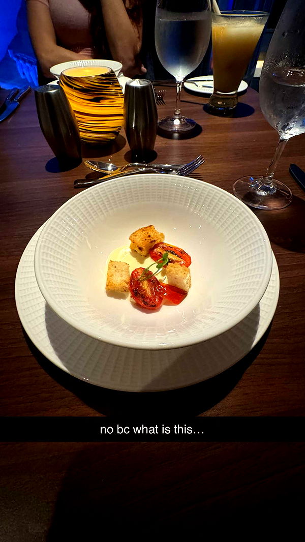 sophieraiin image ~ Altpins