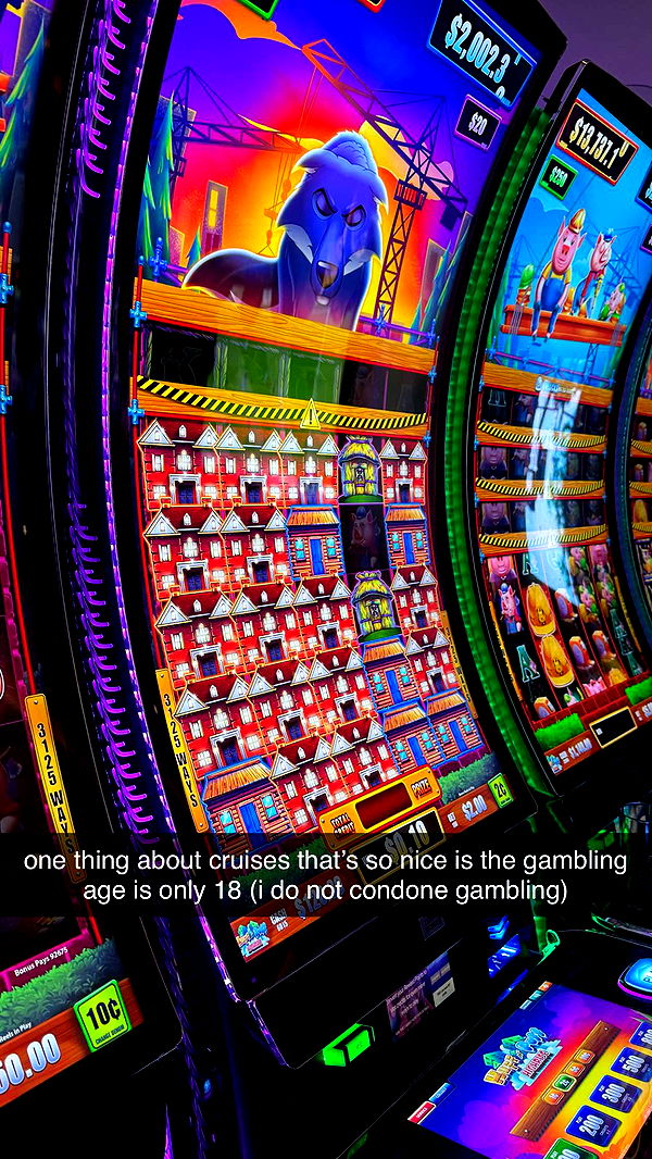 sophieraiin image ~ Altpins