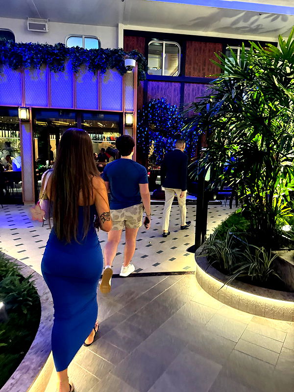 sophieraiin image ~ Altpins