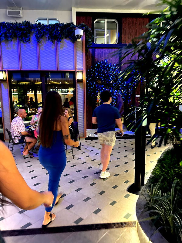 sophieraiin image ~ Altpins