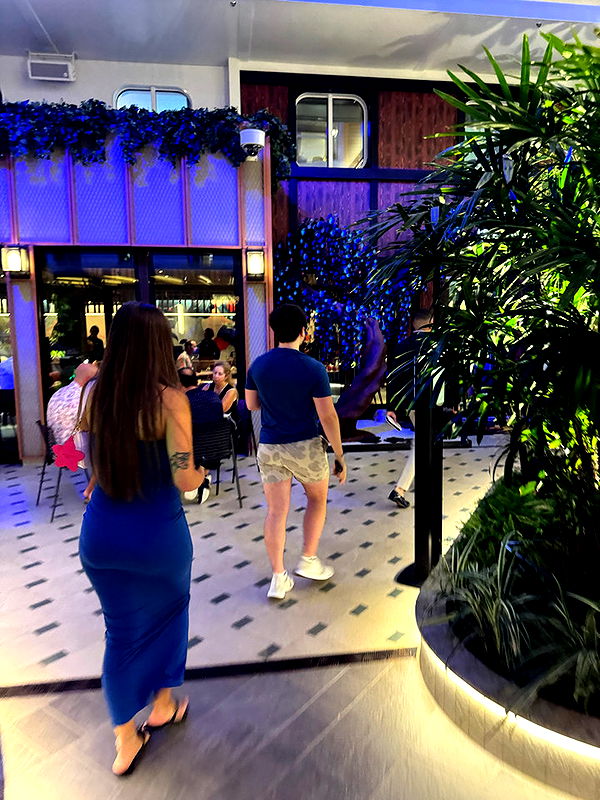 sophieraiin image ~ Altpins