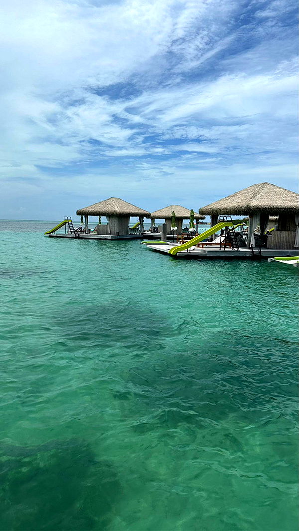 sophieraiin image ~ Altpins