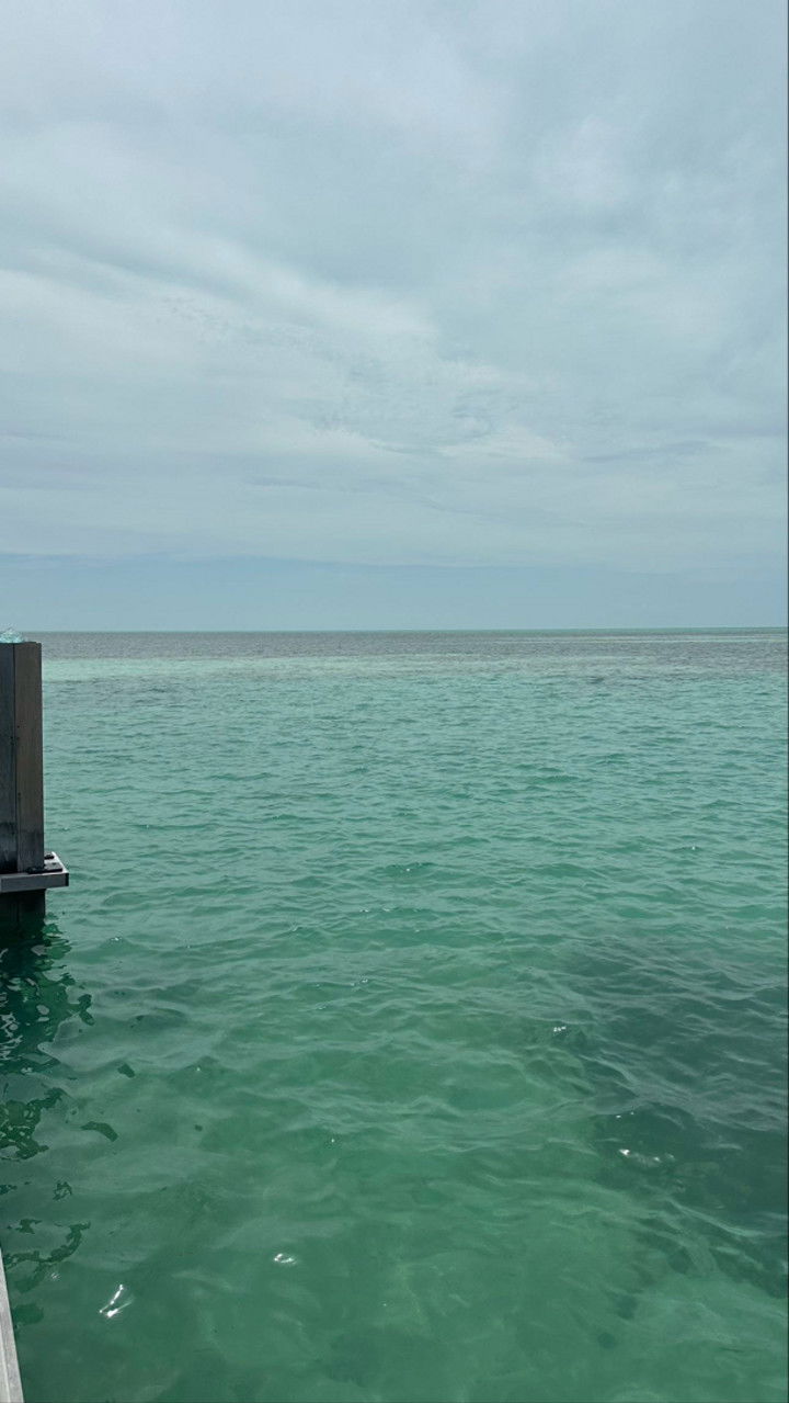 sophieraiin snapchat image archive image