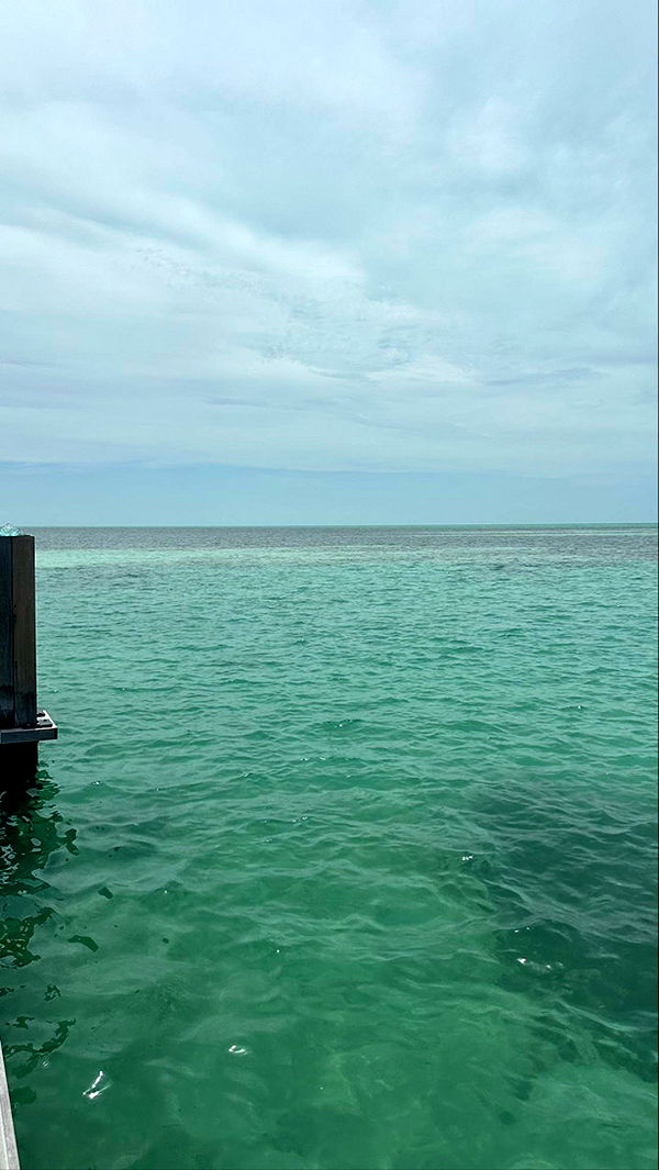 sophieraiin image ~ Altpins