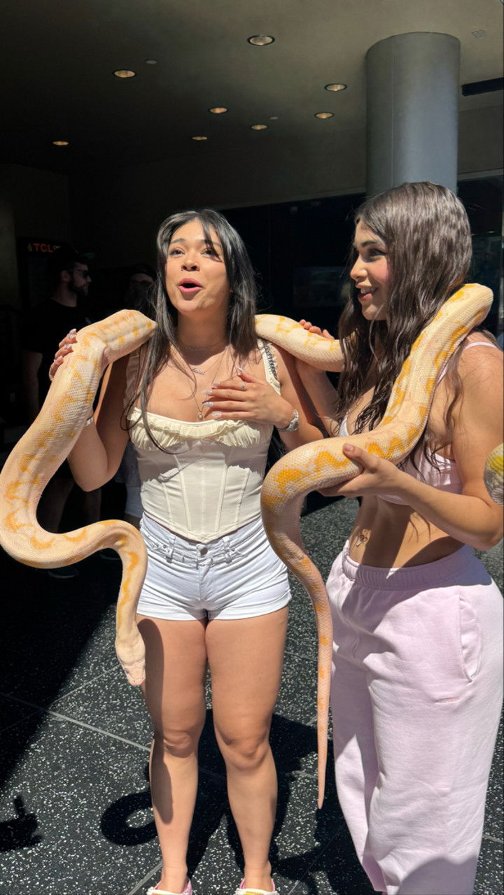 sophieraiin snapchat image archive image