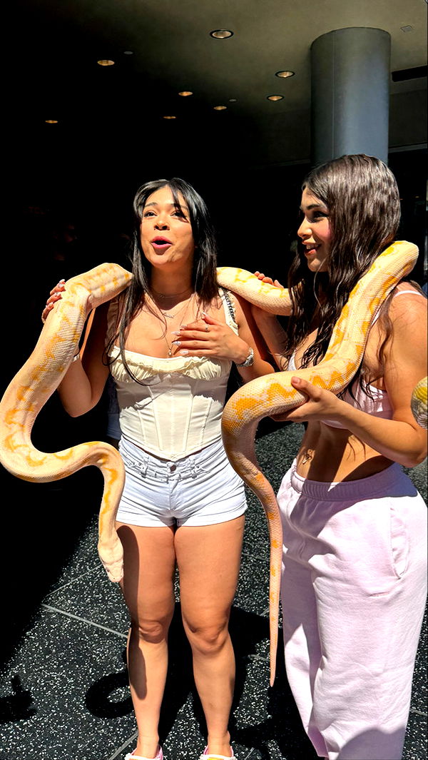 sophieraiin image ~ Altpins