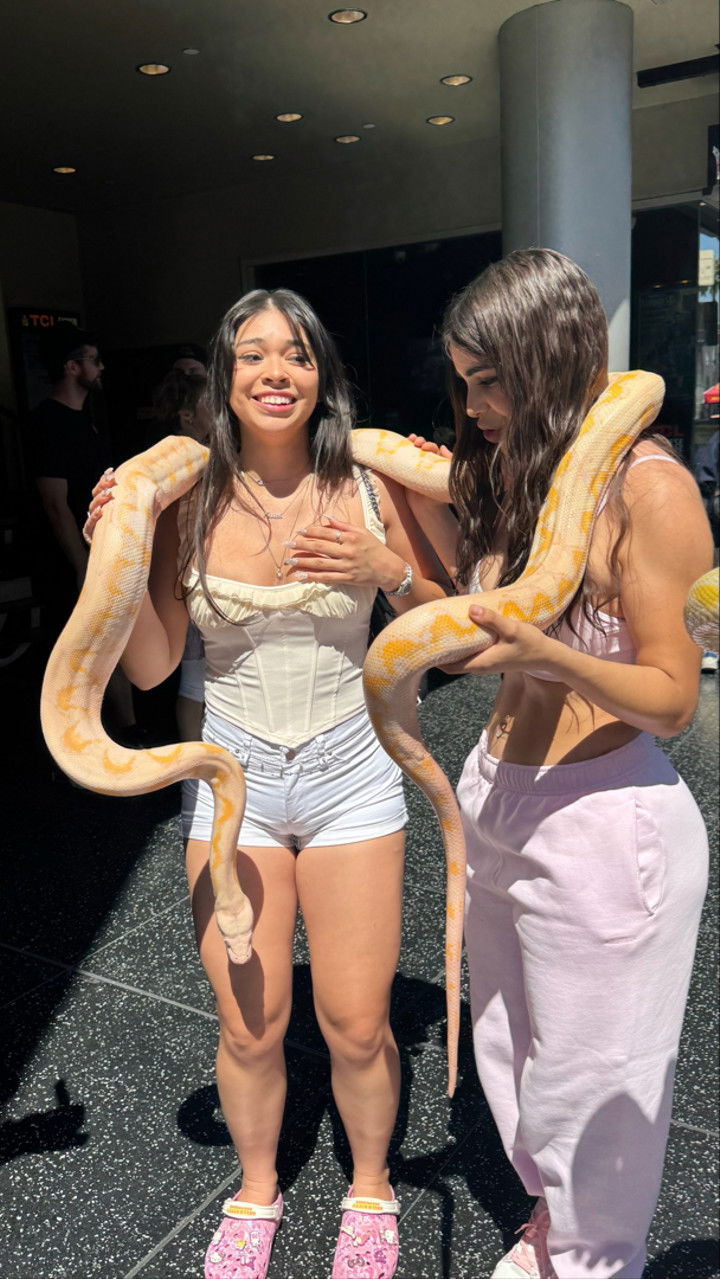 sophieraiin snapchat image archive image