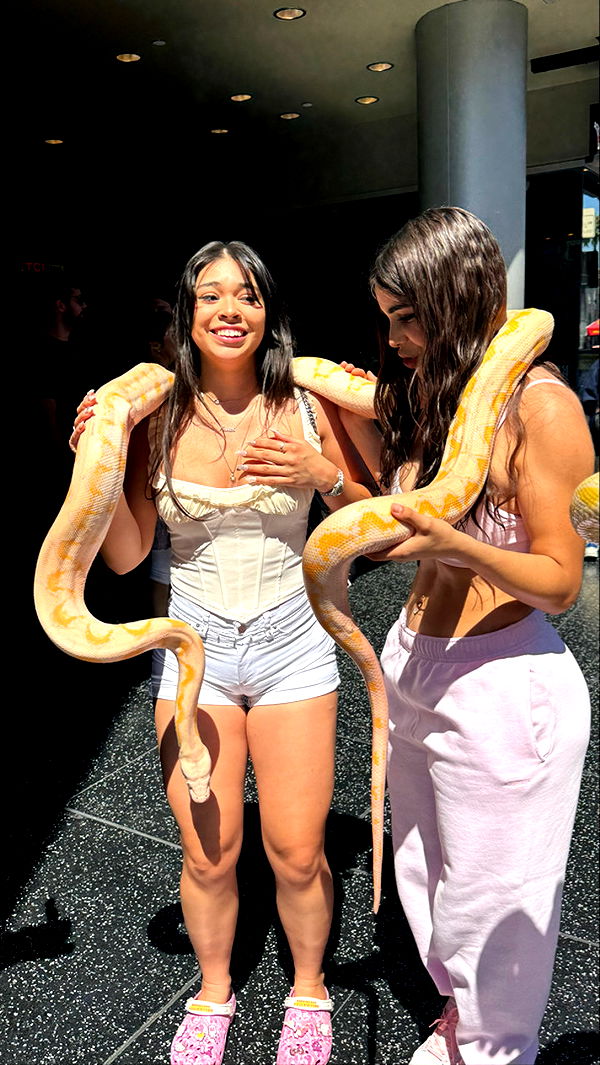 sophieraiin image ~ Altpins