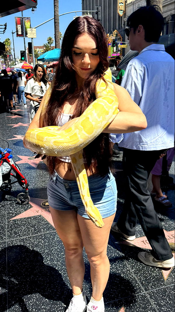 sophieraiin image ~ Altpins