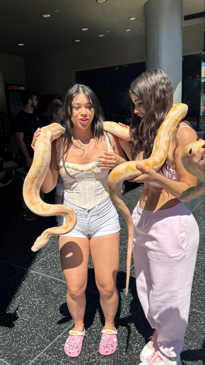 sophieraiin snapchat image archive image