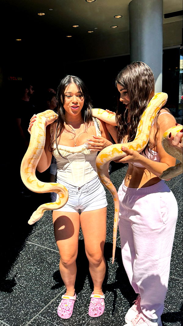 sophieraiin image ~ Altpins