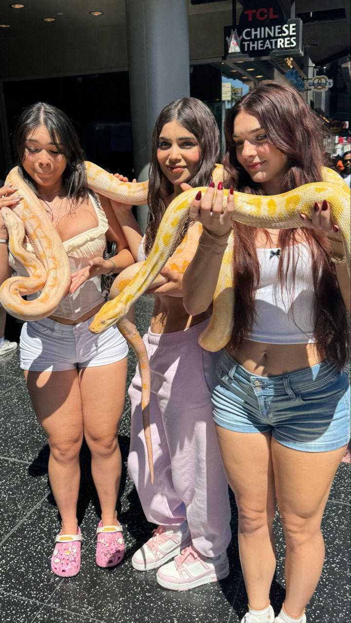 sophieraiin snapchat image archive image