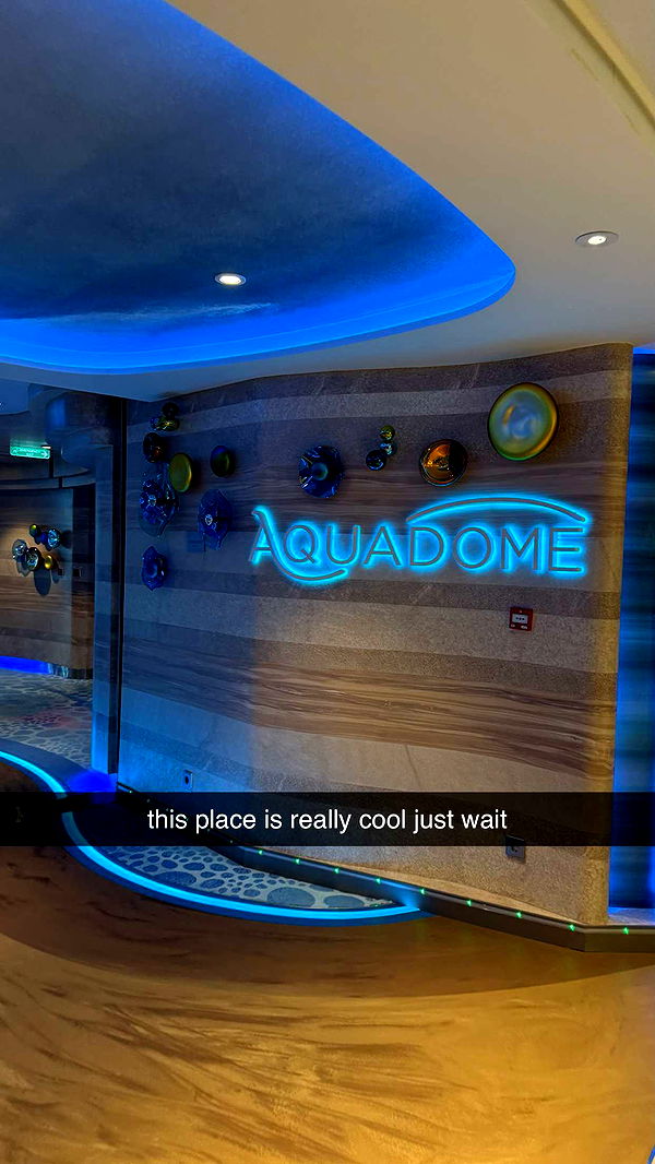 sophieraiin image ~ Altpins