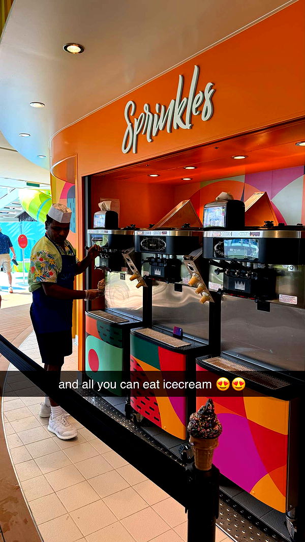 sophieraiin image ~ Altpins