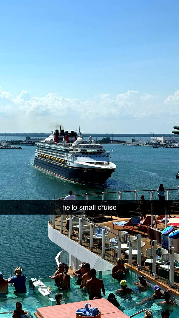 sophieraiin image ~ Altpins