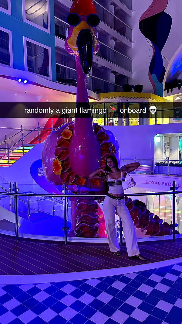 sophieraiin image ~ Altpins