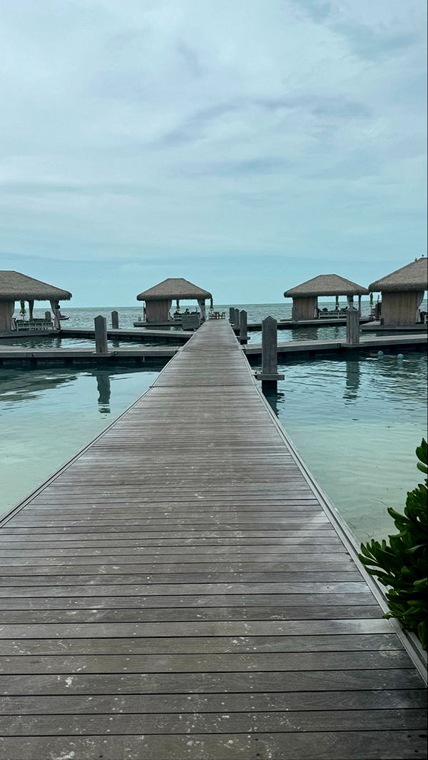 sophieraiin image ~ Altpins