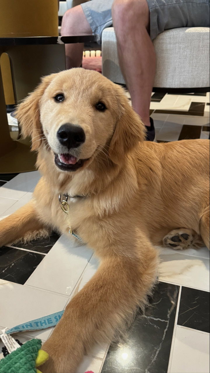 sophieraiin snapchat image archive image