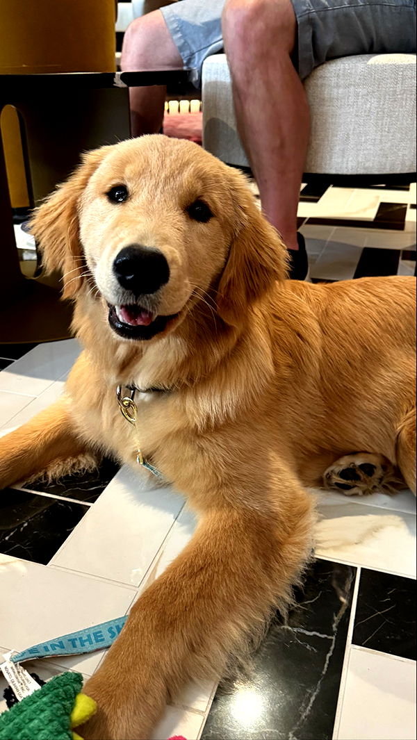 sophieraiin image ~ Altpins