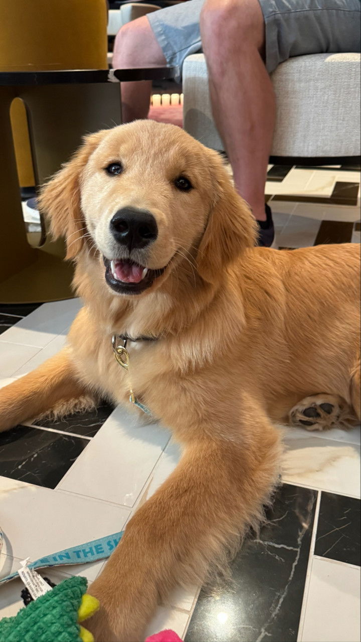 sophieraiin snapchat image archive image