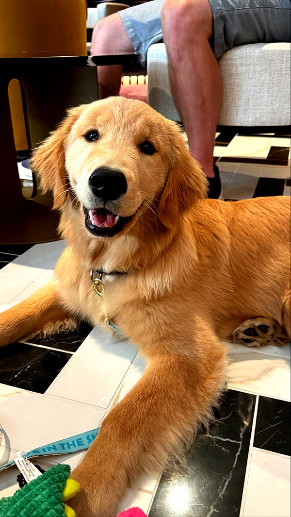 sophieraiin image ~ Altpins