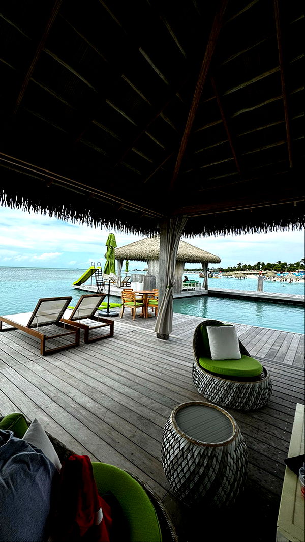 sophieraiin image ~ Altpins