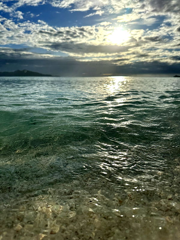 sophieraiin image ~ Altpins