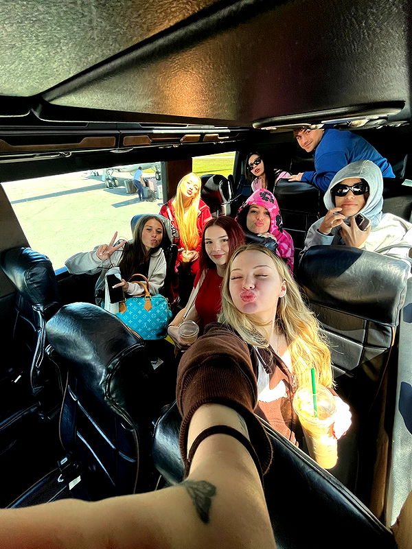 sophieraiin image ~ Altpins