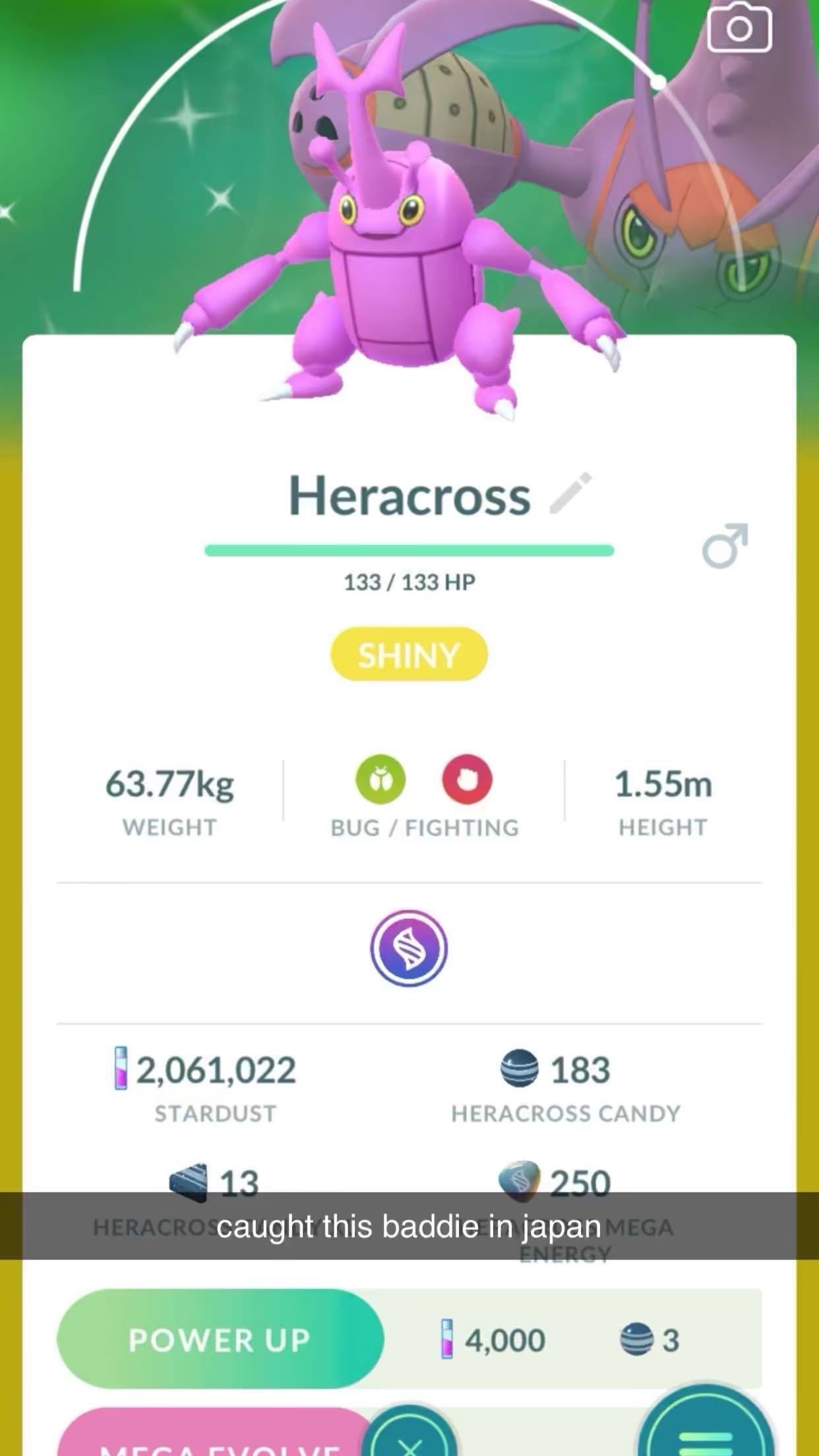 sophieraiin snapchat image archive image