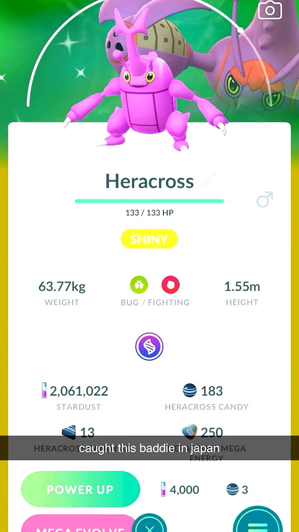 sophieraiin image ~ Altpins