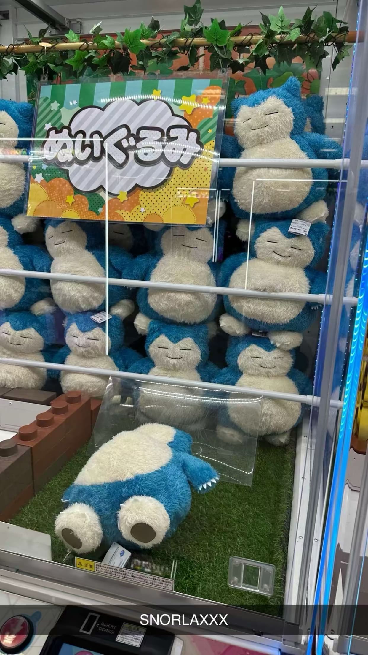 sophieraiin snapchat image archive image