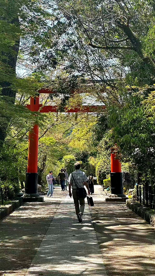 sophieraiin image ~ Altpins