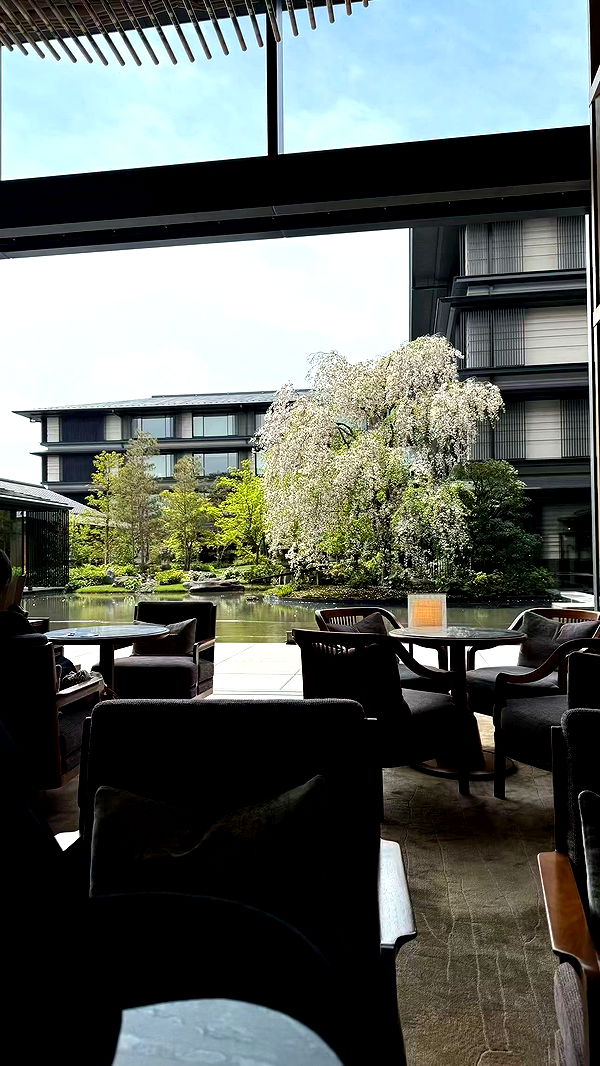 sophieraiin image ~ Altpins