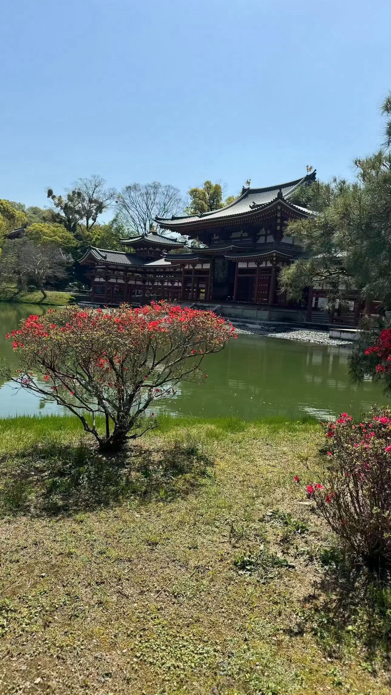 sophieraiin snapchat image archive image