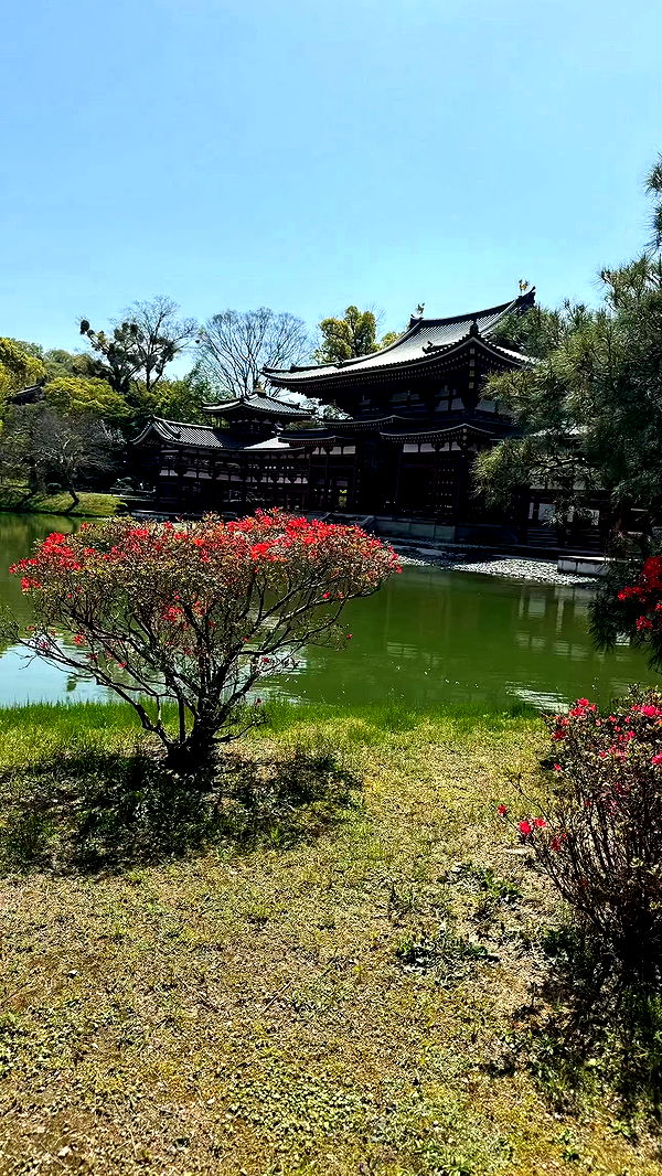 sophieraiin image ~ Altpins