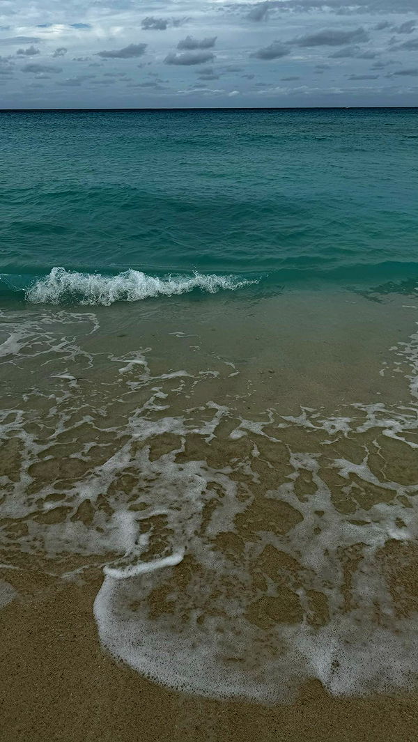 sophieraiin image ~ Altpins